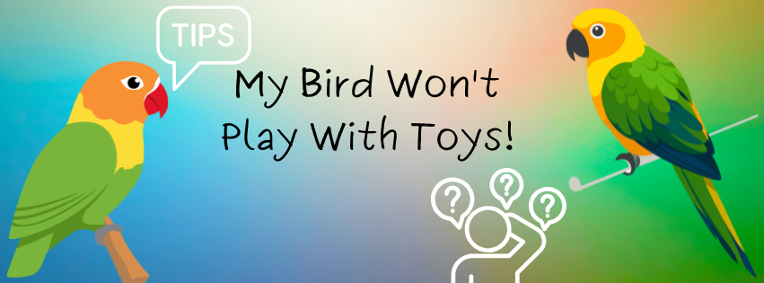 www.lilmonstersbirdtoys.com
