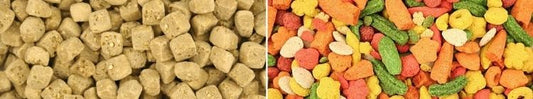 Pellets for Parrots