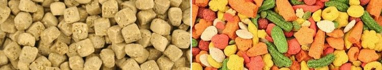 lilmonstersbirdtoys.com