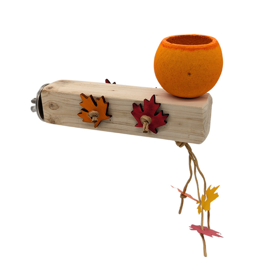 Pumpkin Patch