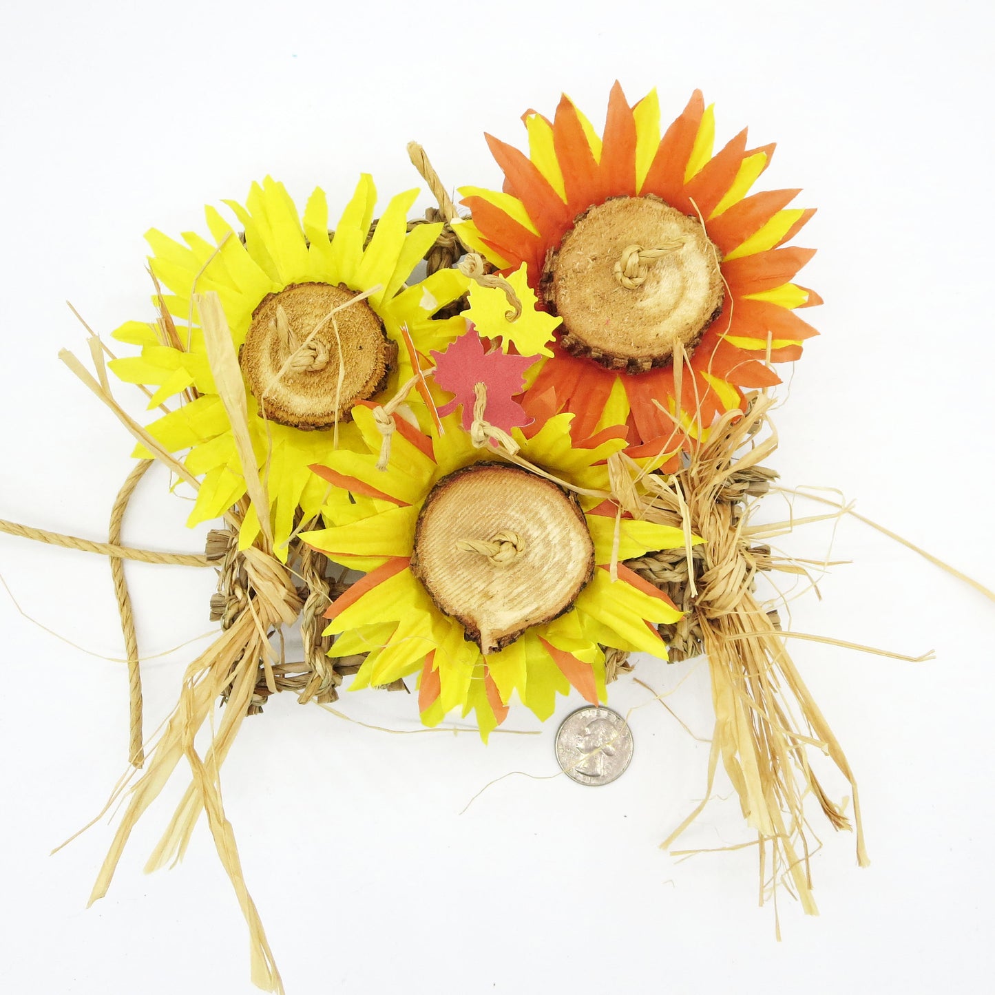 Sunflower Patch