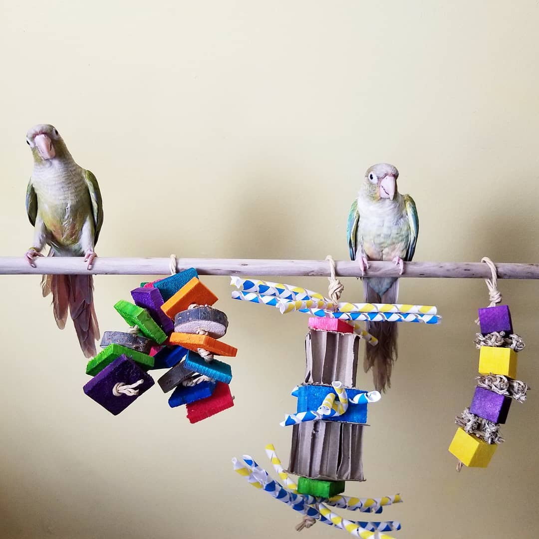 Bongo Box