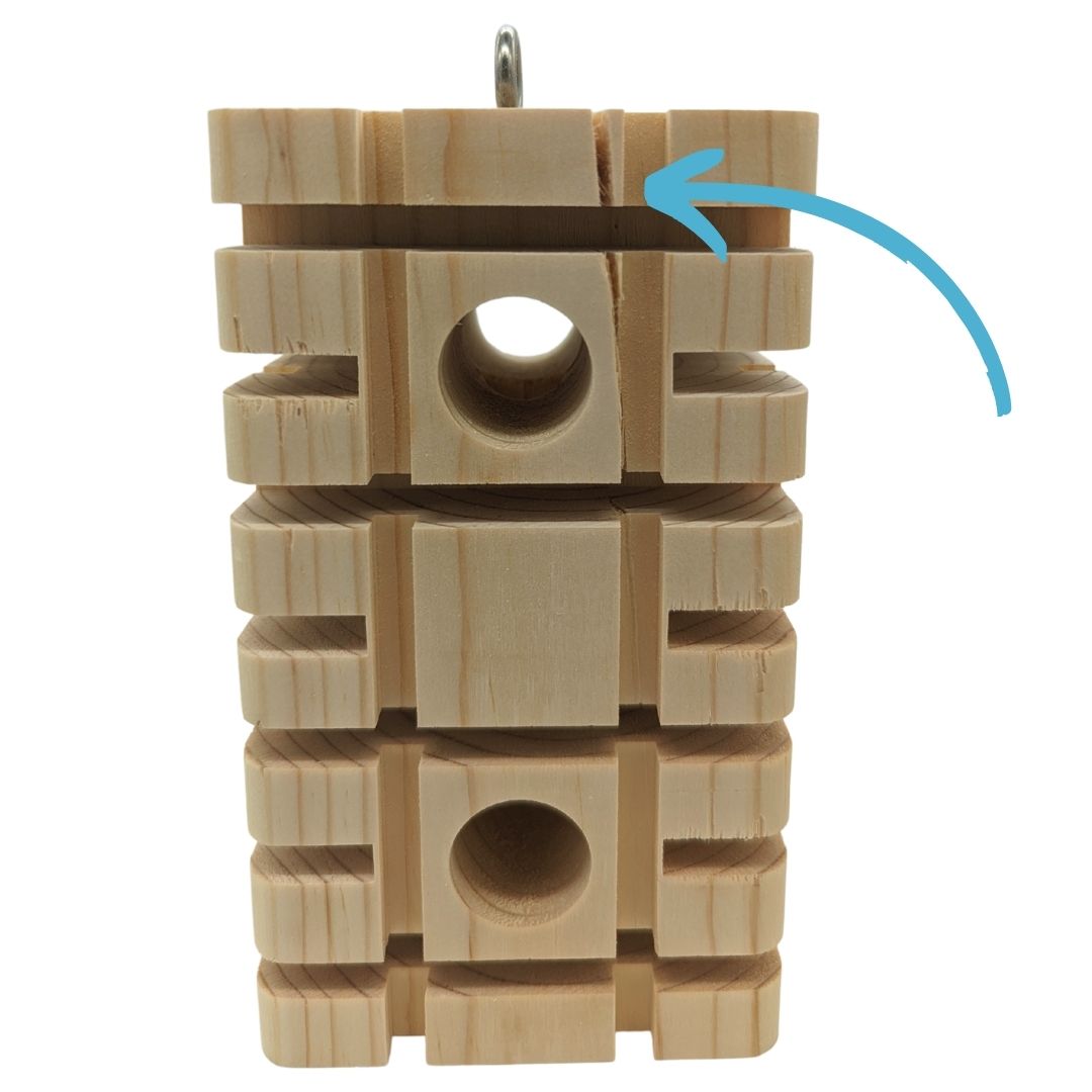 Large Puzzler Foraging Block (Seconds)