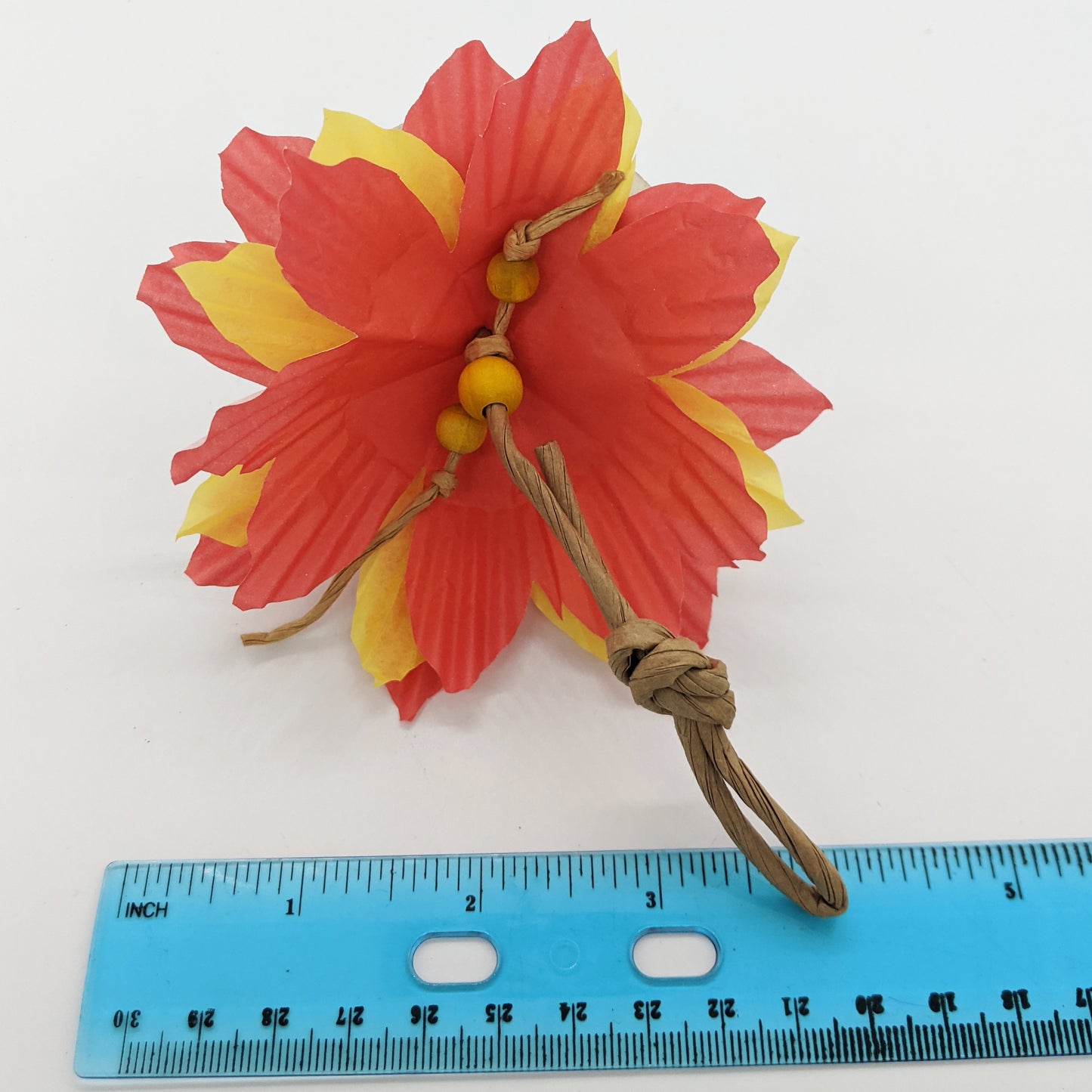 Poinsettia Forager