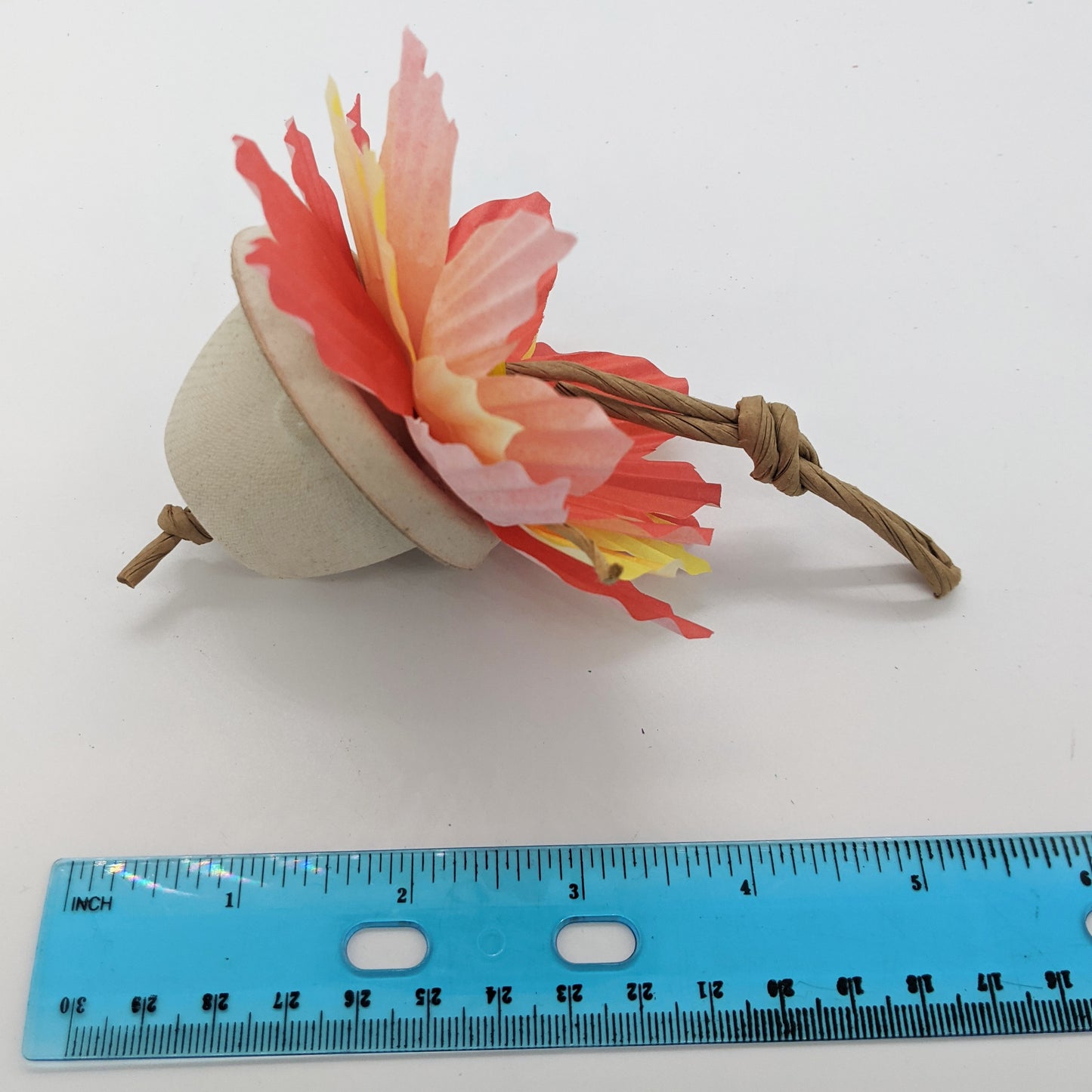 Poinsettia Forager