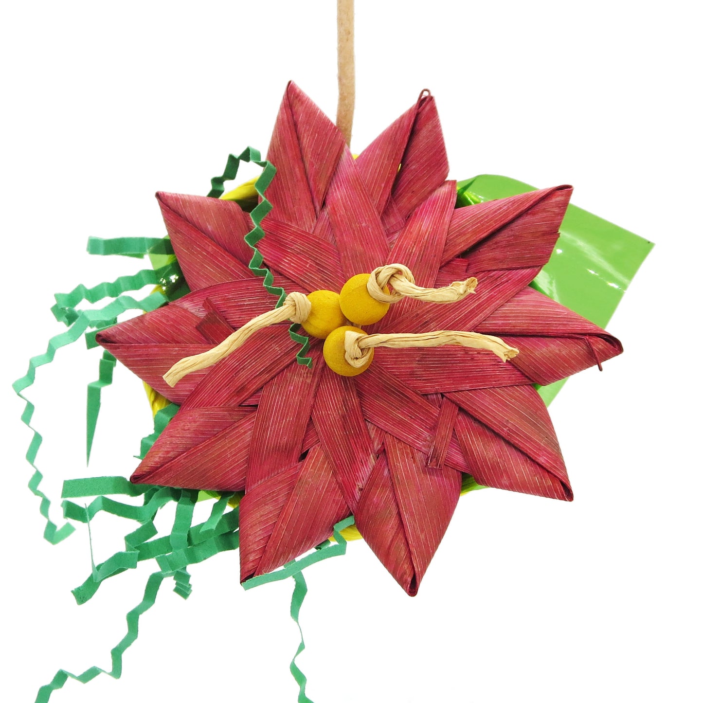 Poinsettia
