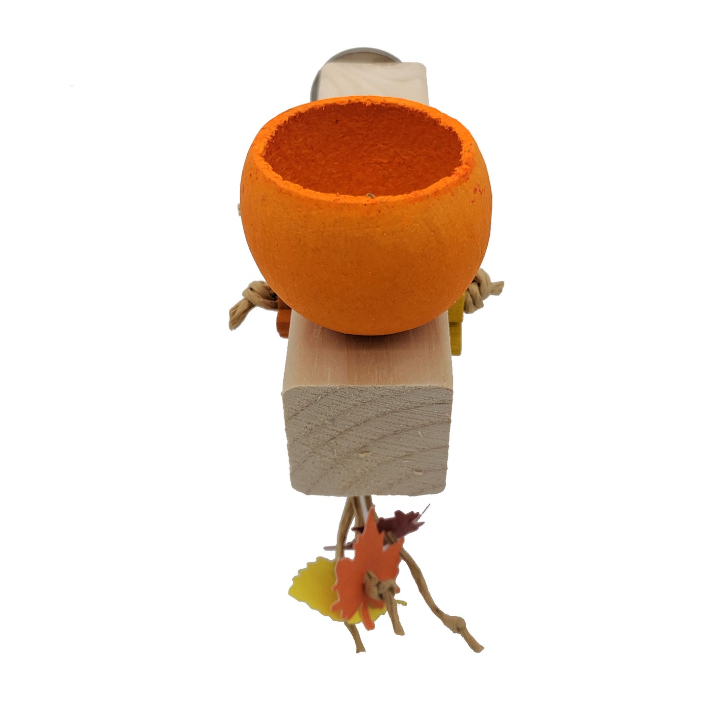 Pumpkin Patch