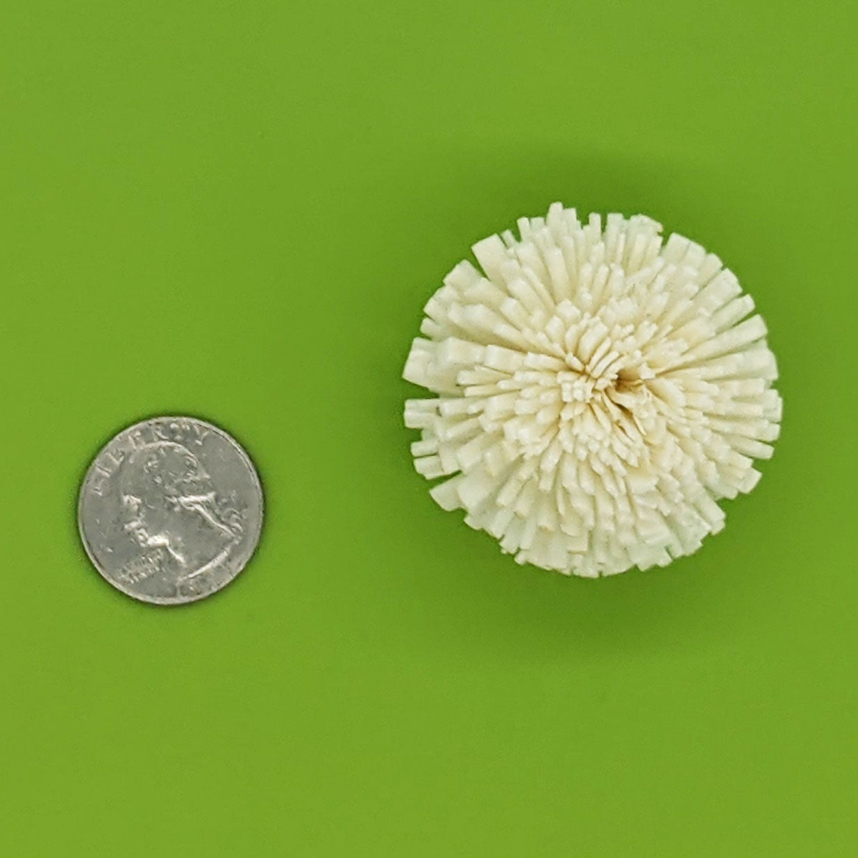 Snowball
