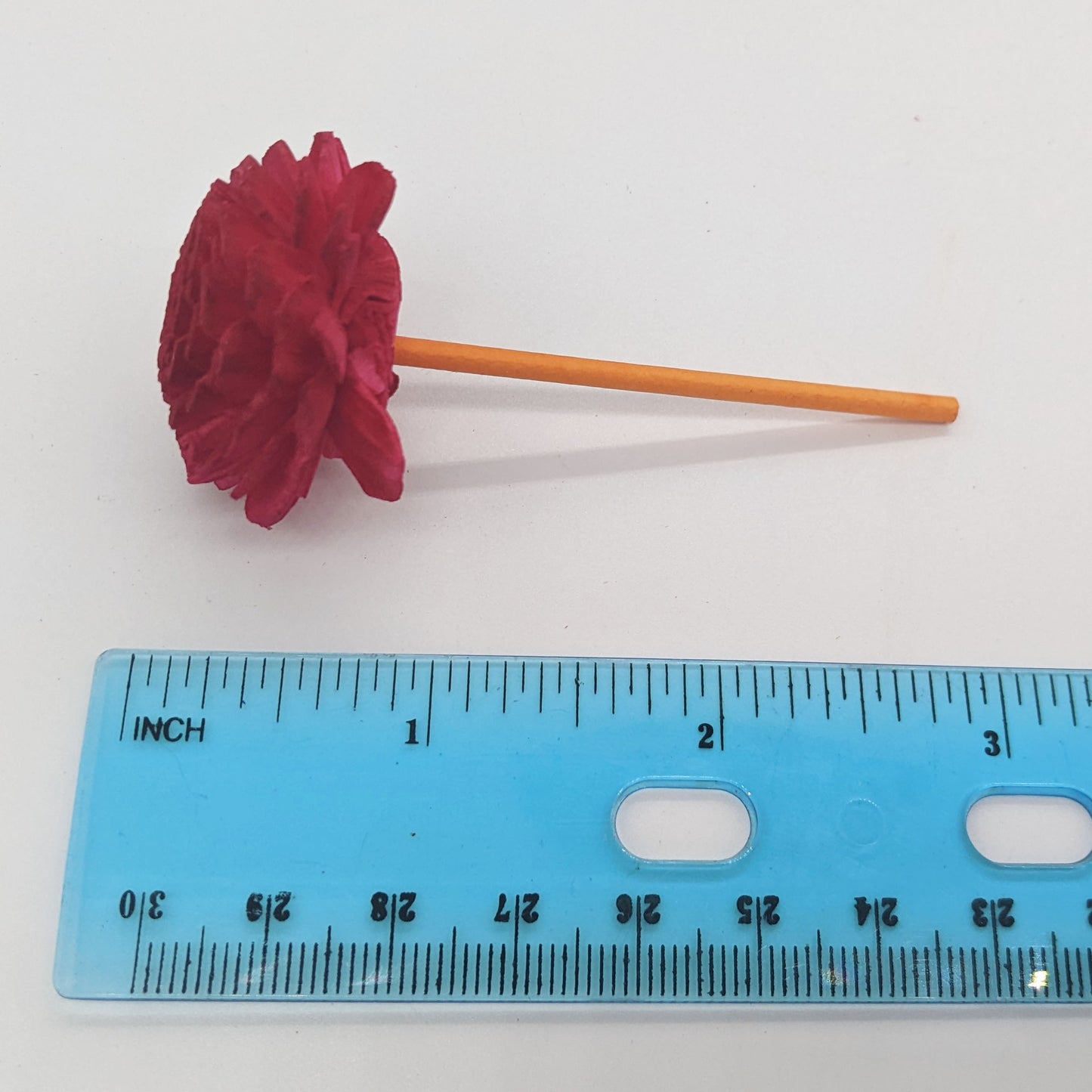 Stem