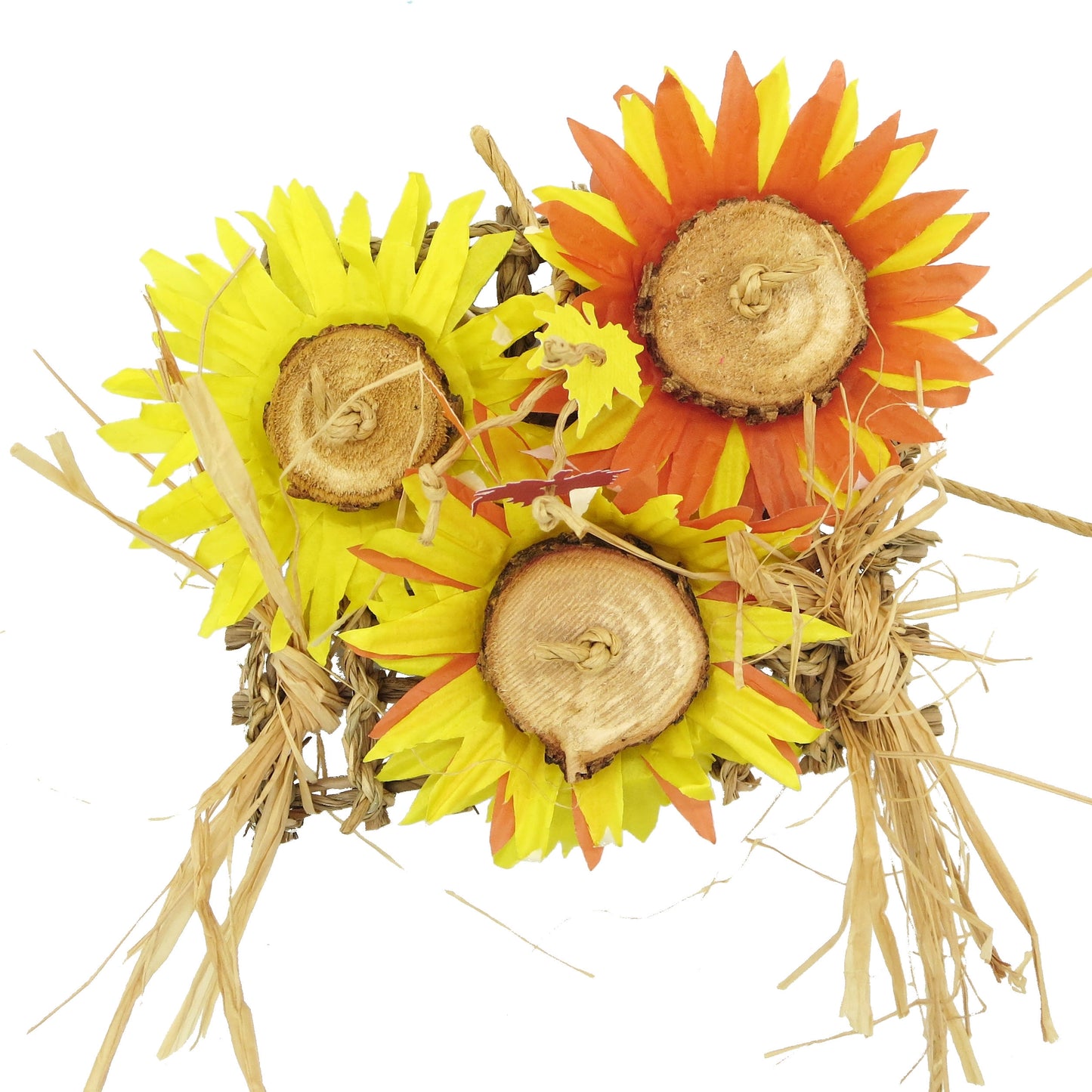 Sunflower Patch