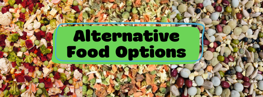 Alternative Parrot Food Options