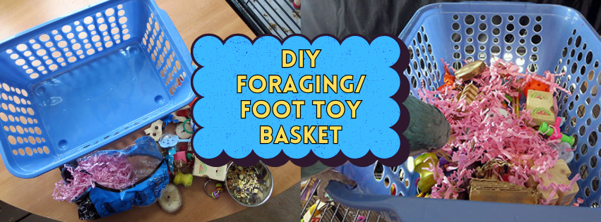 DIY Foraging/Foot Toy Basket