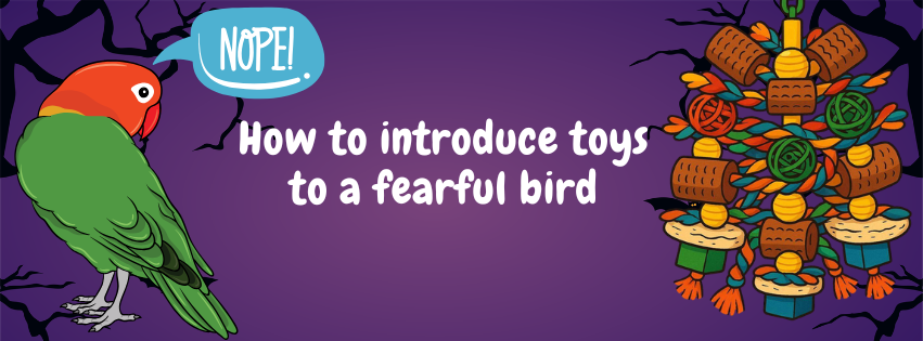 How to introduce toys to a fearful bird