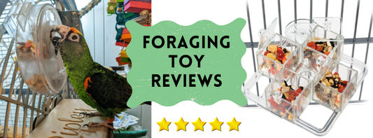 Foraging Toy Reviews