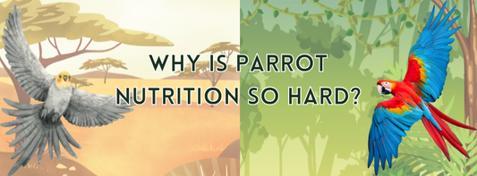 Why is Parrot Nutrition So Hard?