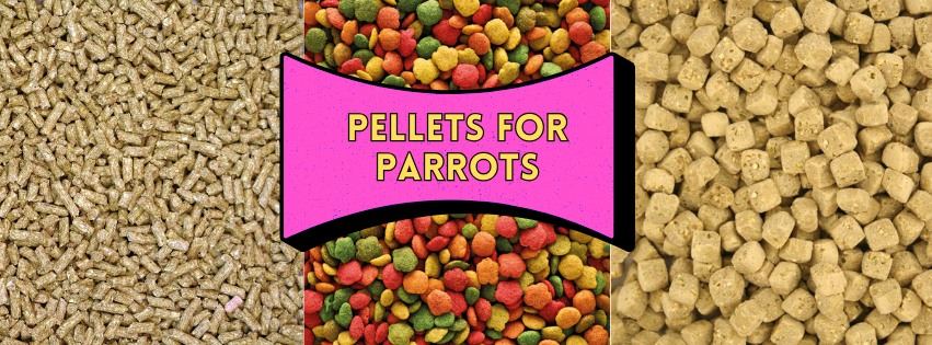 Pellets for Parrots