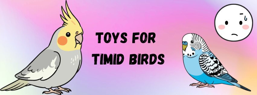 A banner that says Toys for Timid Birds. It features cockatiel and budgie graphics on a pink and purple gradient background. 