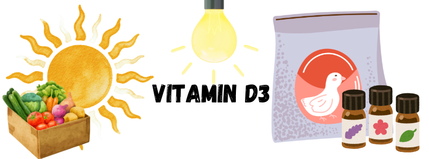 A banner with the words "Vitamin D3", that has a sun, box of veggies, bulb, a bag of bird food, and supplements, all potential sources of Vitamin D3. 