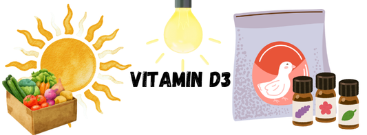 A banner with the words "Vitamin D3", that has a sun, box of veggies, bulb, a bag of bird food, and supplements, all potential sources of Vitamin D3. 