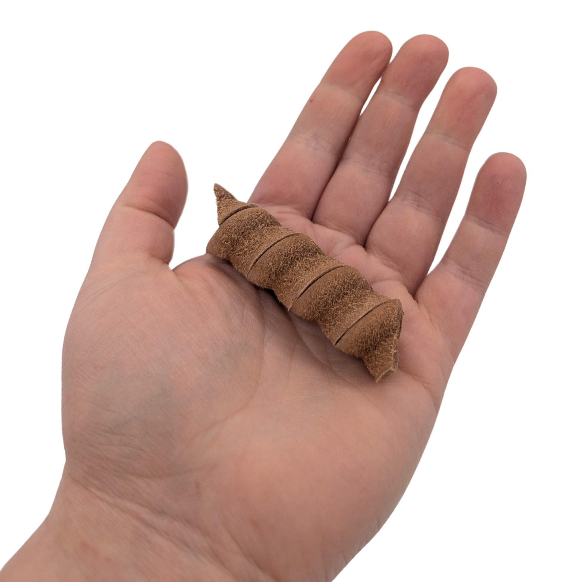 Rotini foot toy by Lil Monsters Bird Toys, held in hand for scale