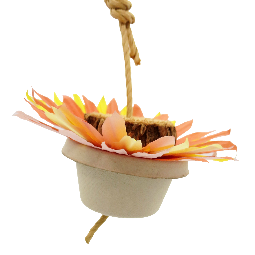 Sunflower Forager