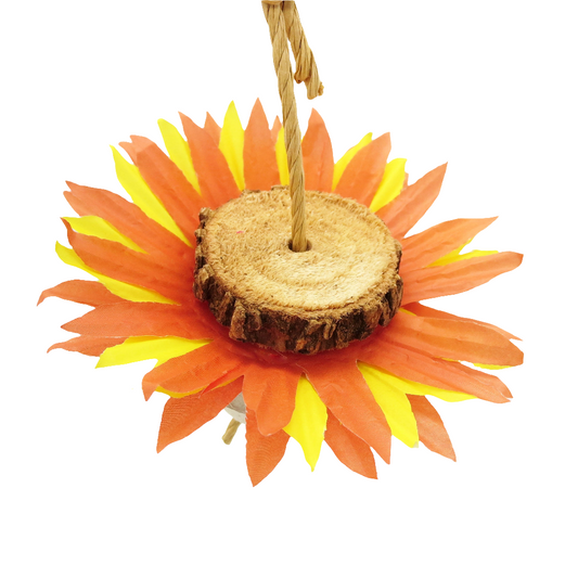 Sunflower Forager