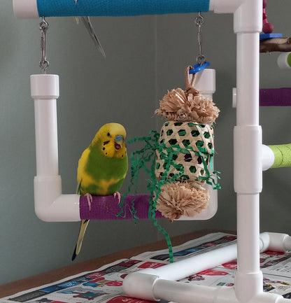 A budgie parakeet sitting next to Pinata by Lil Monsters Bird Toys.