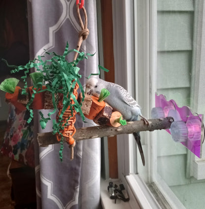 Carrot Patch by Lil Monsters Bird Toys. Shown with a budgie chewing on it