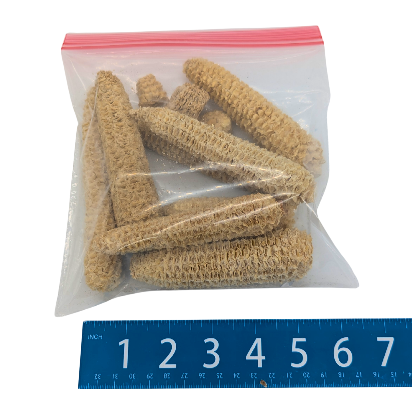 Corn Cob Mix Bag by Lil Monsters Bird Toys, parrot toy parrots next to ruler for scale