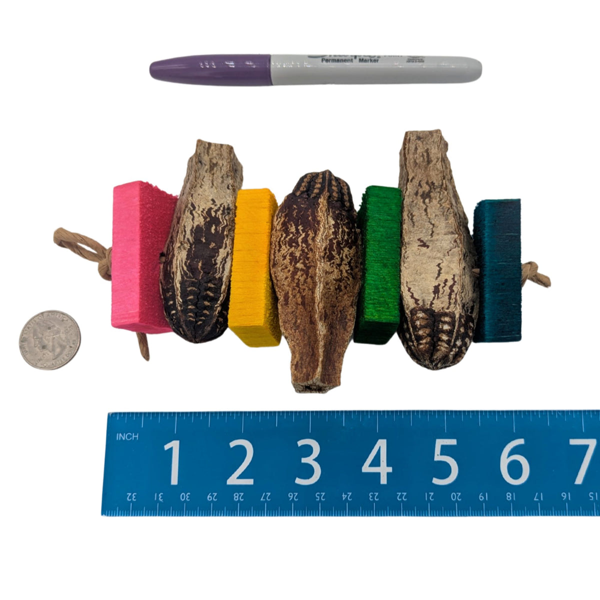 Mocha by Lil Monsters Bird Toys. Shown next to a ruler, Sharpie marker, and US quarter to show scale. 