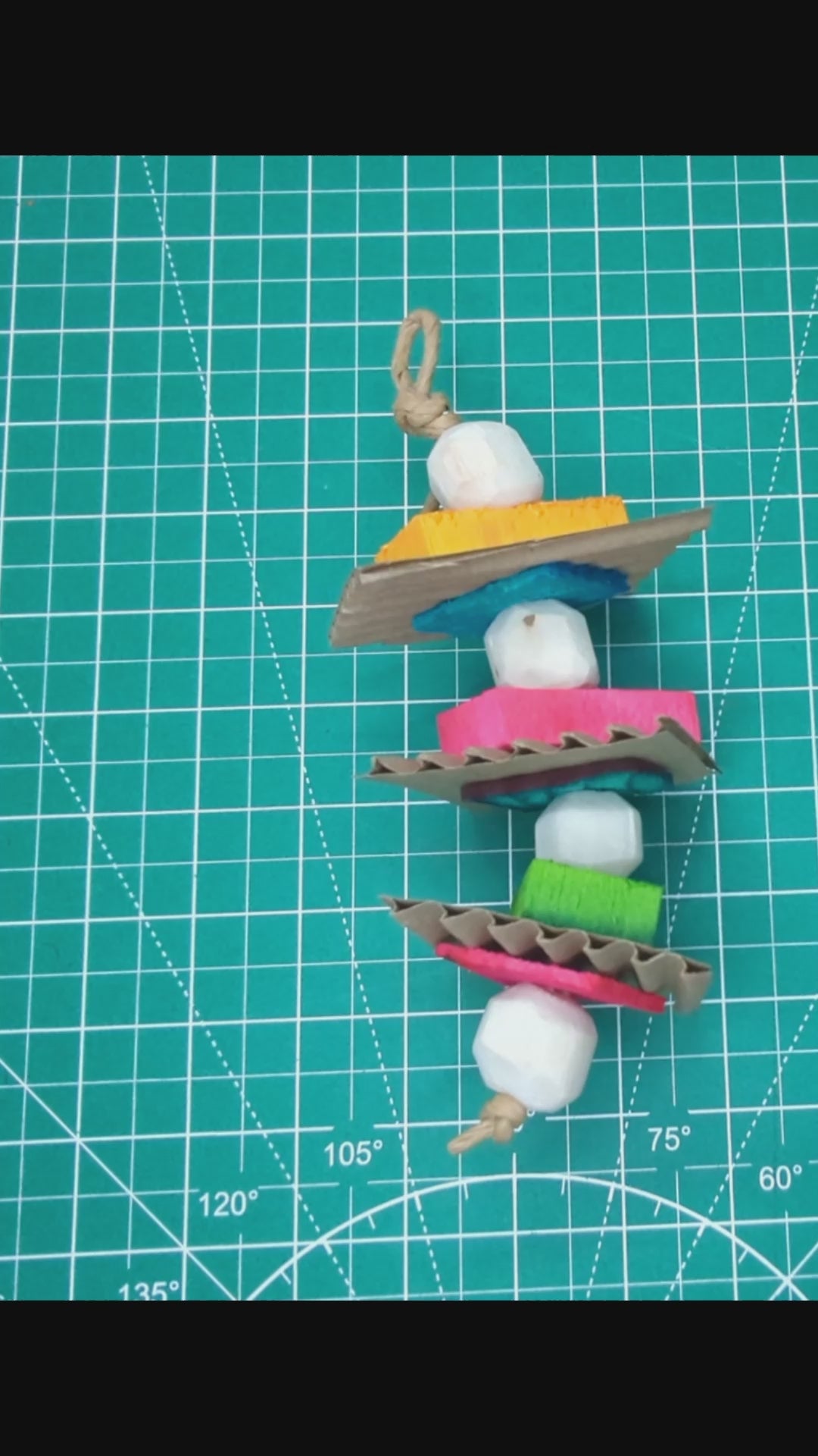 Chickadee Parrot Toy, handled and rotated for scale