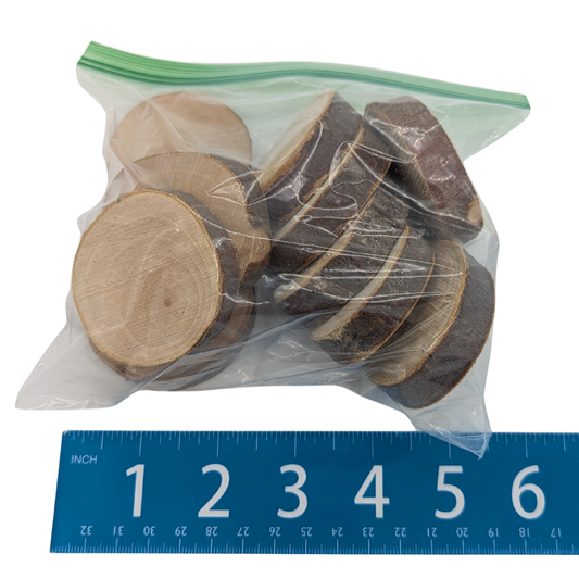 Apple Wood Slices (Pack of 10)