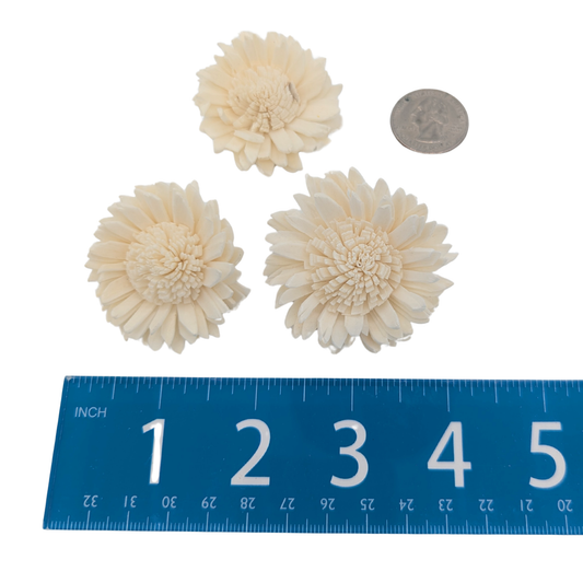 Sola Daisy Bird Toy by Lil Monsters Bird Toys, next to ruler and US quarter for scale