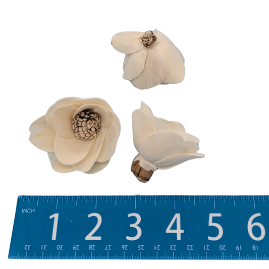 Sola Star Flower Bird Toy Part by Lil Monsters Bird Toys, next to ruler for scale