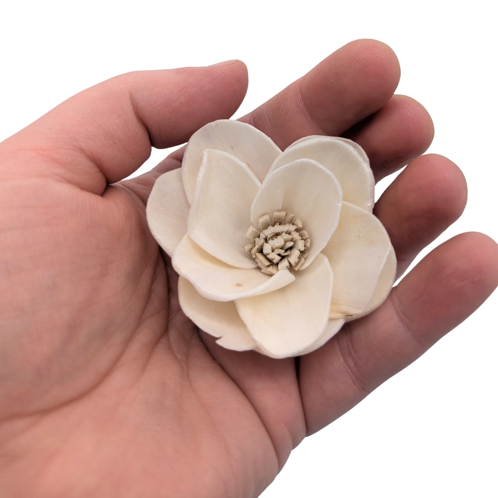 Sola Star Flower Bird Toy Part by Lil Monsters Bird Toys, in hand for scale