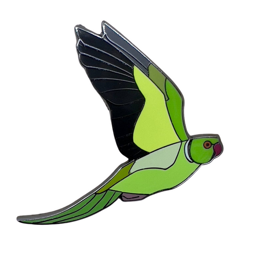 Indian Ringneck Pin