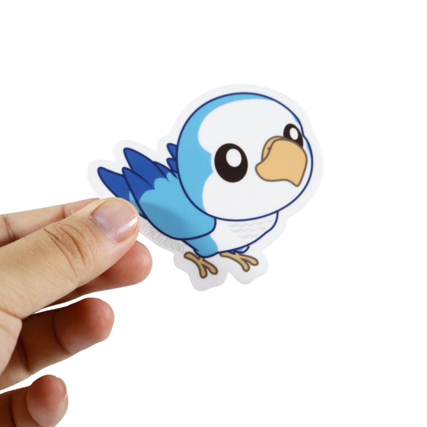 Blue Quaker Parrot Sticker