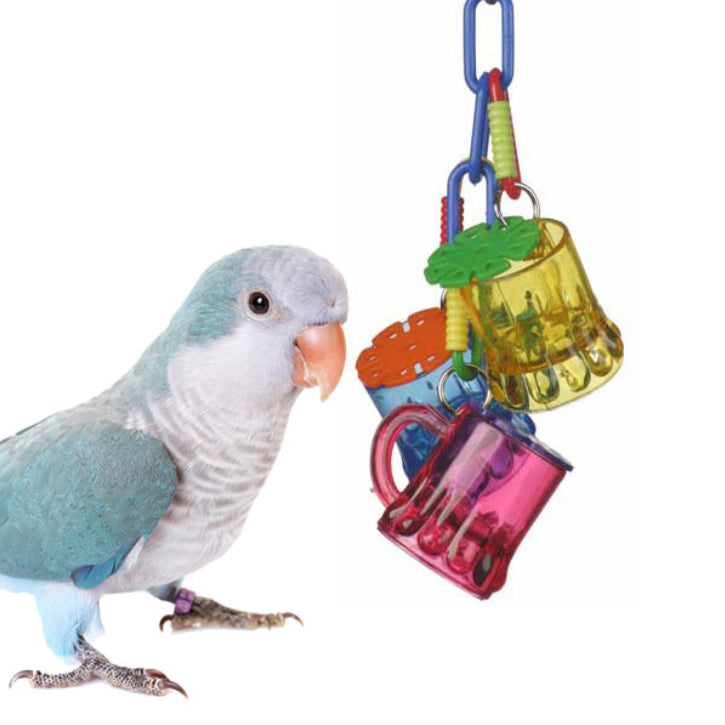Cheers Sr by Super Bird Creations. Pictured next to a quaker parrot for scale.