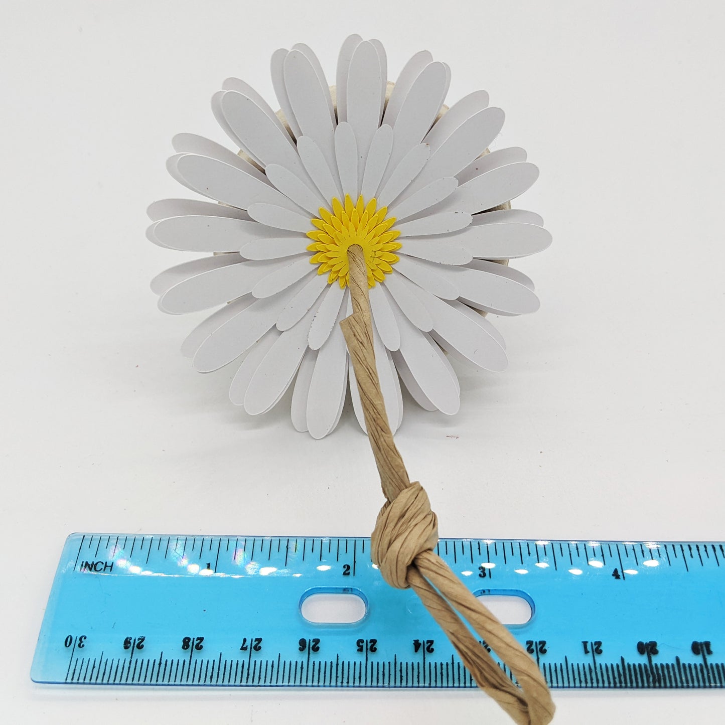 Daisy Forager