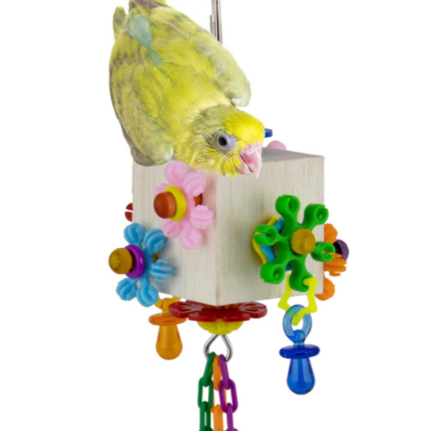 Dancing Daisies by Super Bird Creations. A parrotlet is superimposed on the image to try to show scale. 