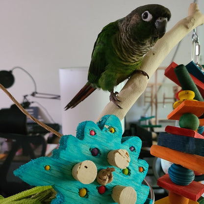 A green cheeked conure shown with a stegosaurus shaped piece of balsa, with 4mm, 6mm, and 8mm wood beads and cork stoppers. Tied onto playstand.