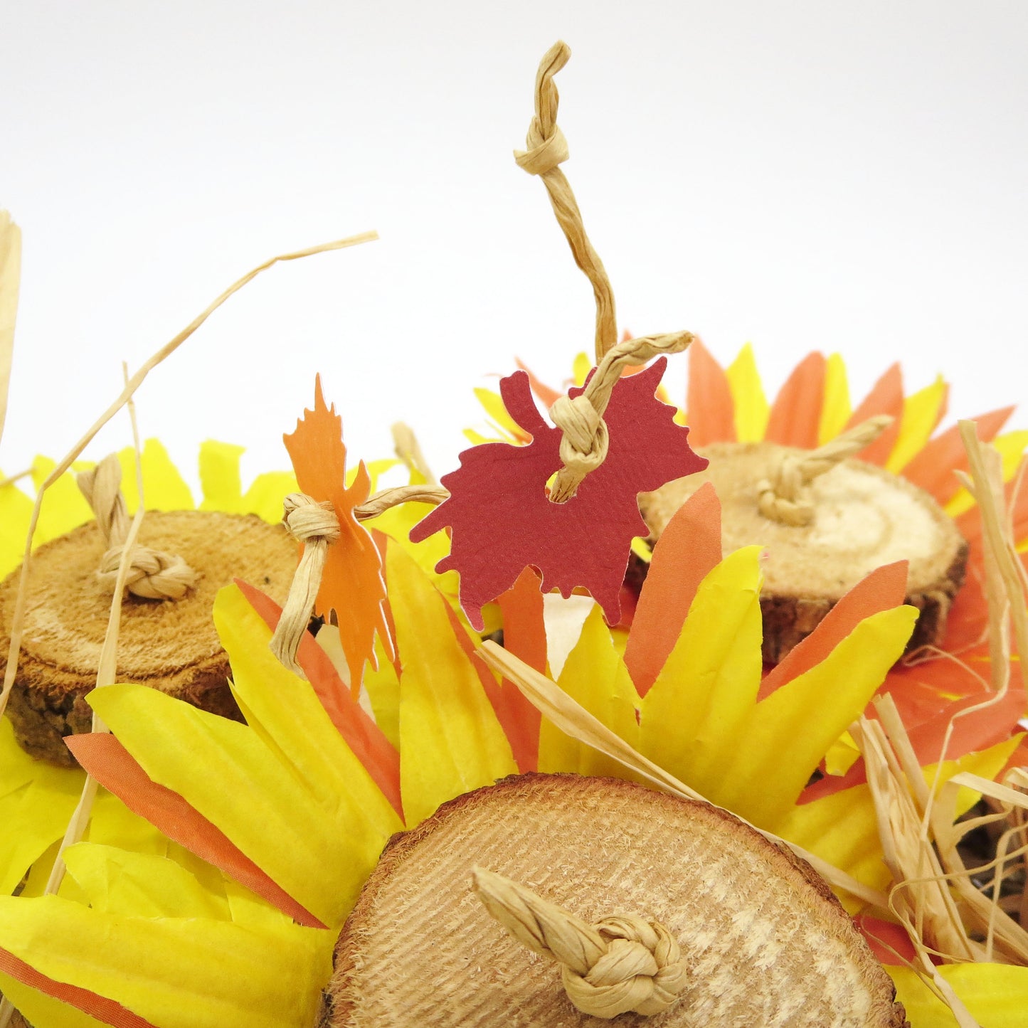 Sunflower Patch