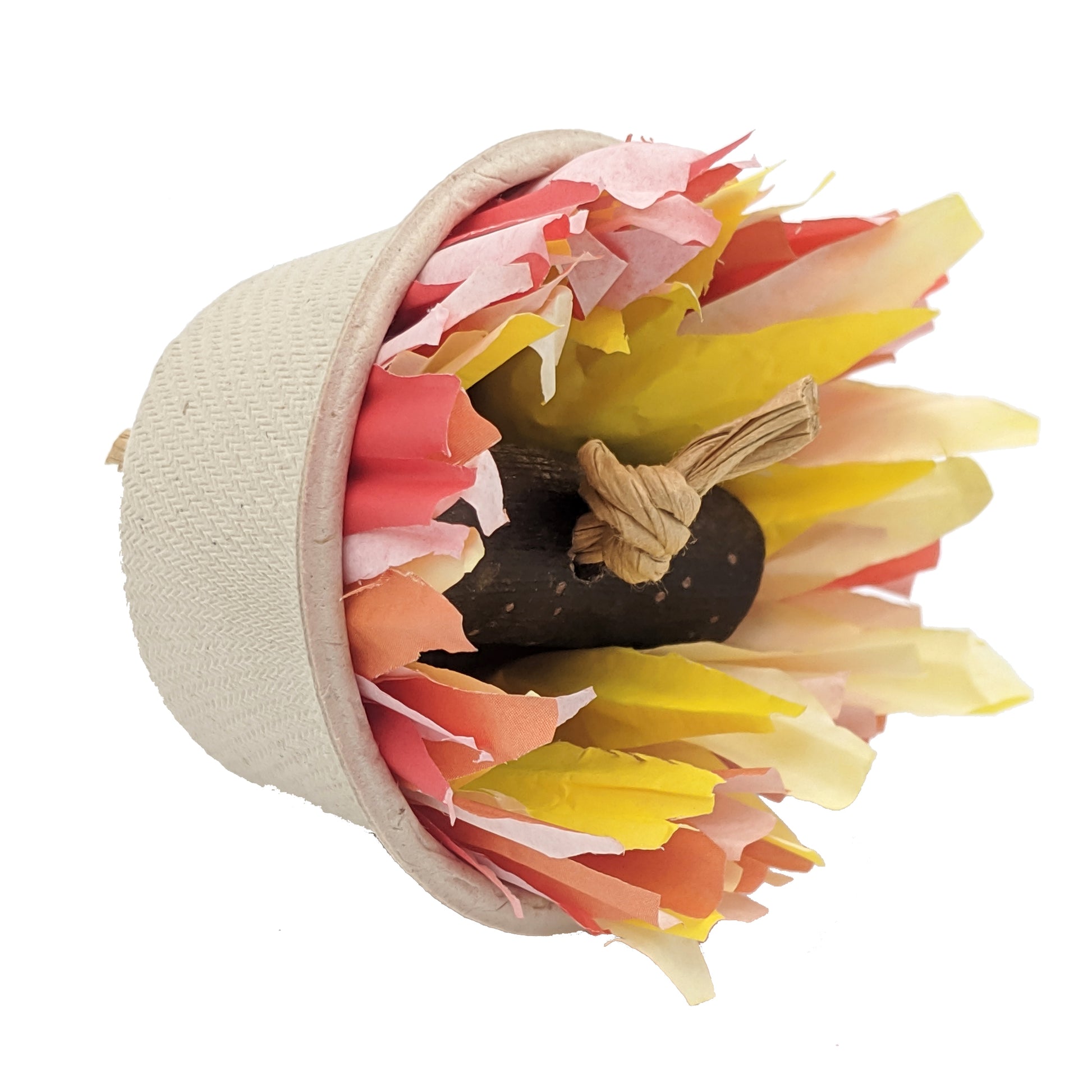 Brazier by Lil Monsters Bird Toys. Made with a wheat fiber cup, cupcake liners, and a cottonwood log.  Foot Toy option. 