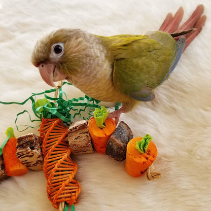 Carrot Patch by Lil Monsters Bird Toys. Shown with a green cheeked conure owned by eightisaflock on Instagram. 