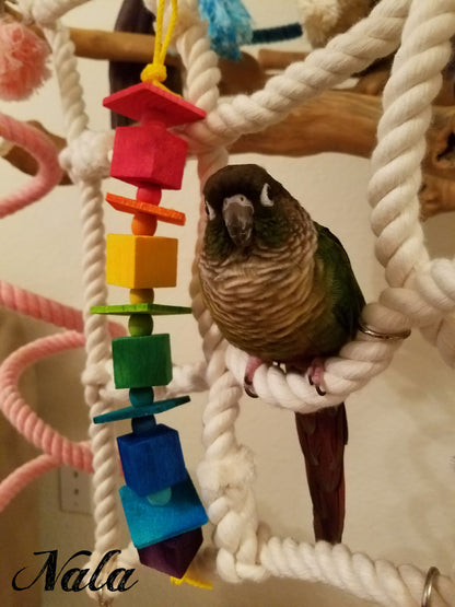 Hugh by Lil Monsters Bird Toys, shown next to a green cheek conure. The name of the bird, "Nala", is written on the photo.