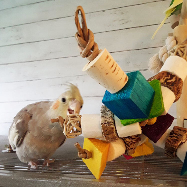 Ferdinand by Lil Monsters Bird Toys. Shown with Jewellbird's Milo (cockatiel).